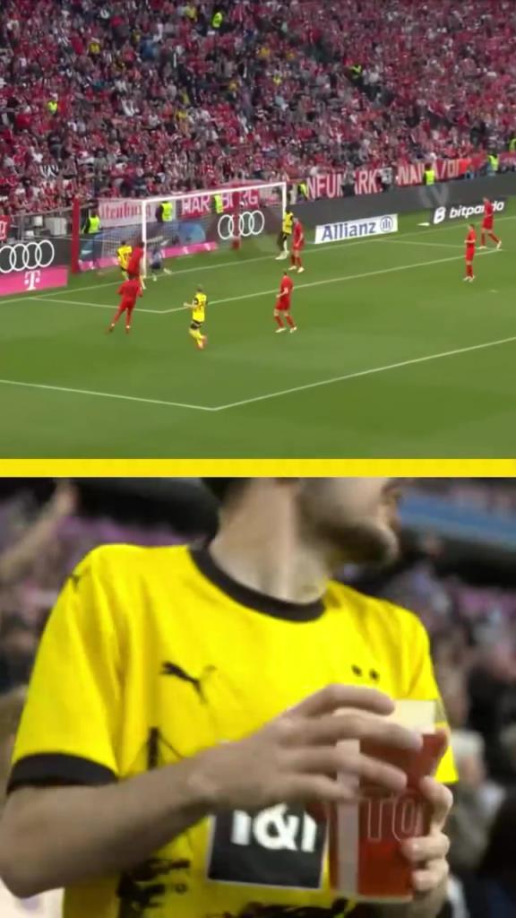 勇者無(wú)懼！這是真多特球迷！在拜仁球迷區(qū)一個(gè)人肆意慶祝！